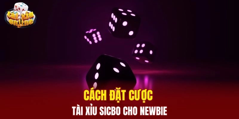 Tài xỉu sicbo - Chiến thuật chơi từ cao thủ số 1 hiện nay Cách đặt cược tài xỉu sicbo cho newbie