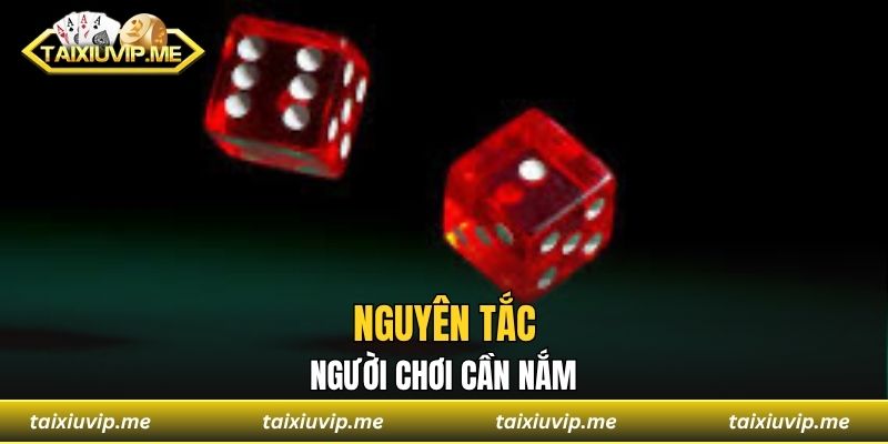 Luật Chơi Tài Xỉu Chính Xác Trọn Bộ Cho Anh Em Tham Khảo Nguyên tắc người chơi cần nắm